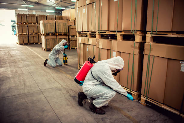 Best Residential Pest Control  in Ada, MN