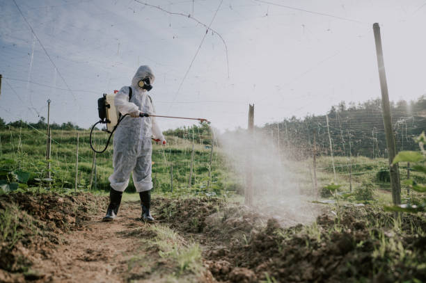 Best Local Pest Control Services  in Ada, MN