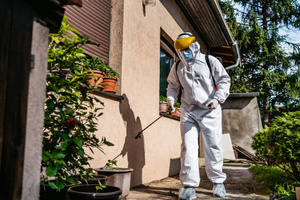 Best Mosquito Control Services  in Ada, MN
