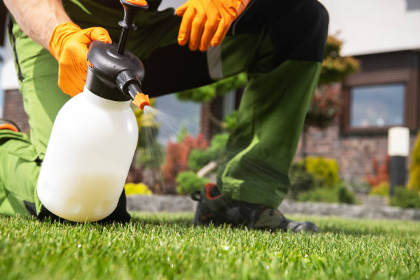 Best Best Pest Control Companies  in Ada, MN