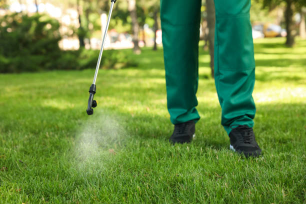 Best Pest Control for Homes  in Ada, MN