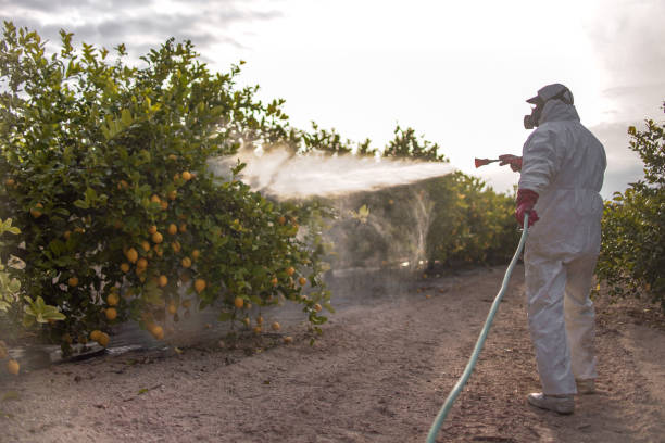 Best Flea Control Services  in Ada, MN